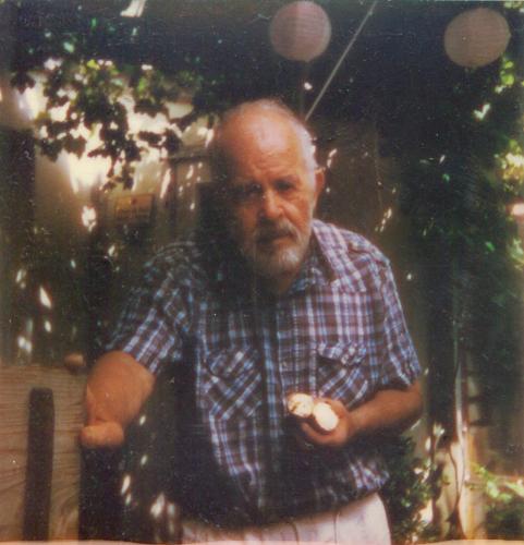 Polaroid